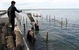 Cowell Foreshore Caravan Park & Holiday Units - thumb 2