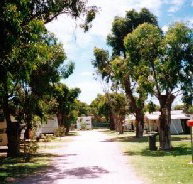 Bathers Paradise Caravan Park - Accommodation Perth
