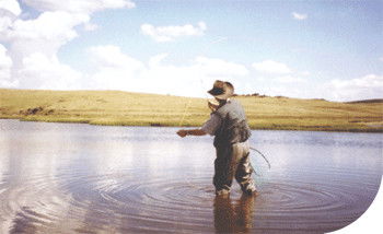 Tawonga Fishing Lodge - Accommodation Perth 3