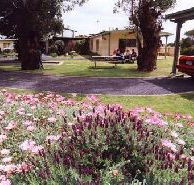 Brigadoon Holiday Units - Accommodation Perth