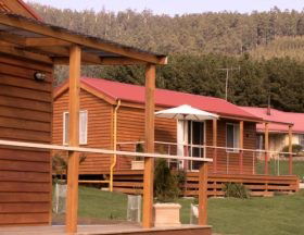 Maydena Country Cabins And Alpacas - Accommodation Perth 0