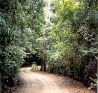 Mt Glorious Getaway Cottages And Conference Centre - Accommodation Perth