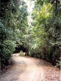 Mt Glorious Getaway Cottages And Conference Centre - Accommodation Perth 0