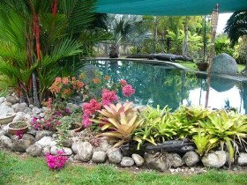 Daintree Wild Bed And Breakfast - Accommodation Perth 0