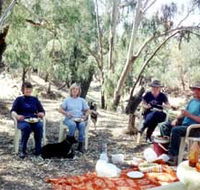 Bimbimbi And Little Hollow Farm Stay