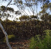 Lions Dryandra Woodlands Village - Accommodation Perth