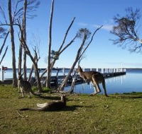 Waterfront Retreat At Wattle Point - Accommodation Perth