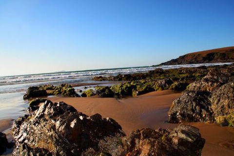 ArtHOUSE Beachfront Accommodation - Accommodation Perth 8