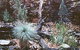 Alligator Lodge - thumb 0