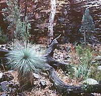 Alligator Lodge - Accommodation Perth