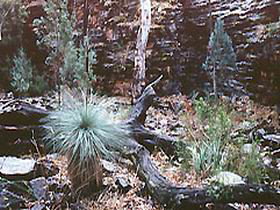 Alligator Lodge - Accommodation Perth 0