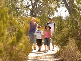 Pepper Tree Cottage - Accommodation Perth 0