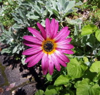 Kiewa Country Cottages - Perth Resorts