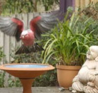 Wattle Court  Retreat - Accommodation Perth