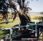 Kidogo Cottage - Accommodation Perth