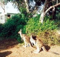 Avoca Dell Caravan Park - Accommodation Perth