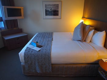 Hotel Urban St Leonards - Accommodation Perth 59