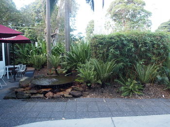 Hotel Urban St Leonards - Accommodation Perth 101