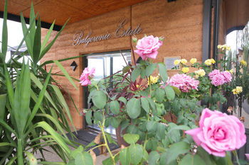 Balgownie Estate Vineyard & Spa - Accommodation Perth 2