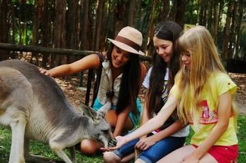Pacific Horizons Resort - Accommodation Perth 23