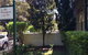 Avonmore On The Park Boutique Hotel - thumb 16