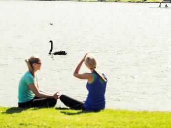 Mercure Melbourne Albert Park - Perth Resorts 95