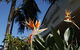 Beachside Resort - Kawana Waters - thumb 4
