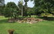 Sinclairs Country Retreat - thumb 4