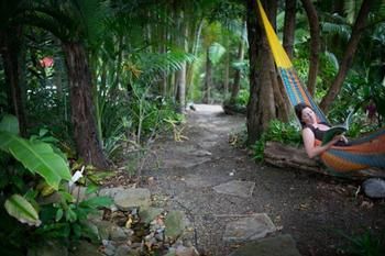 Noosa Valley Manor B&B Retreat - Accommodation Perth 4