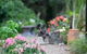 Noosa Valley Manor B&B Retreat - thumb 12