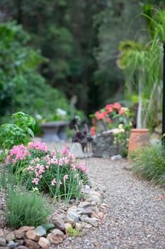 Noosa Valley Manor B&B Retreat - Accommodation Perth 12
