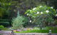 Noosa Valley Manor B&B Retreat - thumb 13
