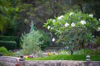 Noosa Valley Manor B&B Retreat - Accommodation Perth 13