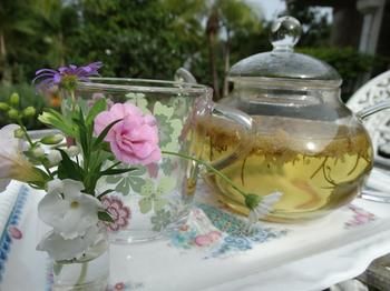 Noosa Valley Manor B&B Retreat - Accommodation Perth 27