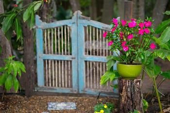 Noosa Valley Manor B&B Retreat - Accommodation Perth 30