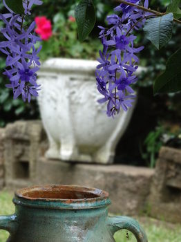 Noosa Valley Manor B&B Retreat - Accommodation Perth 31