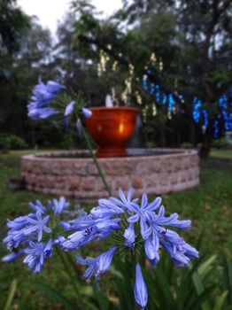 Noosa Valley Manor B&B Retreat - Accommodation Perth 34
