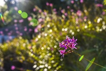 Ninderry Manor Luxury Retreat - Accommodation Perth 13