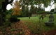 Silvermere - thumb 10