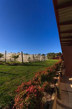 De'Vine Escape - Accommodation Perth 5