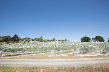 De'Vine Escape - Accommodation Perth 12