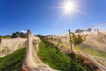 De'Vine Escape - Accommodation Perth 14