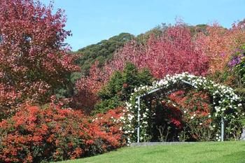 Terrigal Hinterland Bed And Breakfast - Accommodation Perth 11