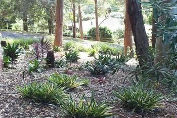Terrigal Hinterland Bed And Breakfast - Accommodation Perth 20