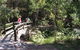 Glass House Mountains Ecolodge - thumb 9