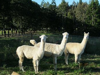 Beerwah QLD Accommodation Perth