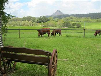 Blackwattle Farm B&B And Farm Stay - Accommodation Perth 1