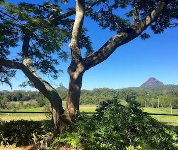Blackwattle Farm B&B And Farm Stay - Accommodation Perth 9