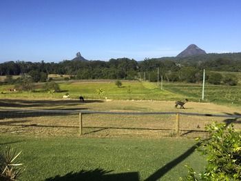Blackwattle Farm B&B And Farm Stay - Accommodation Perth 29