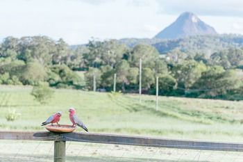 Blackwattle Farm B&B And Farm Stay - Accommodation Perth 42